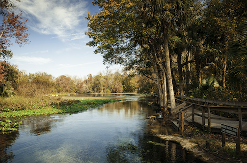 Natural Springs - Wekiwa Springs State Park
